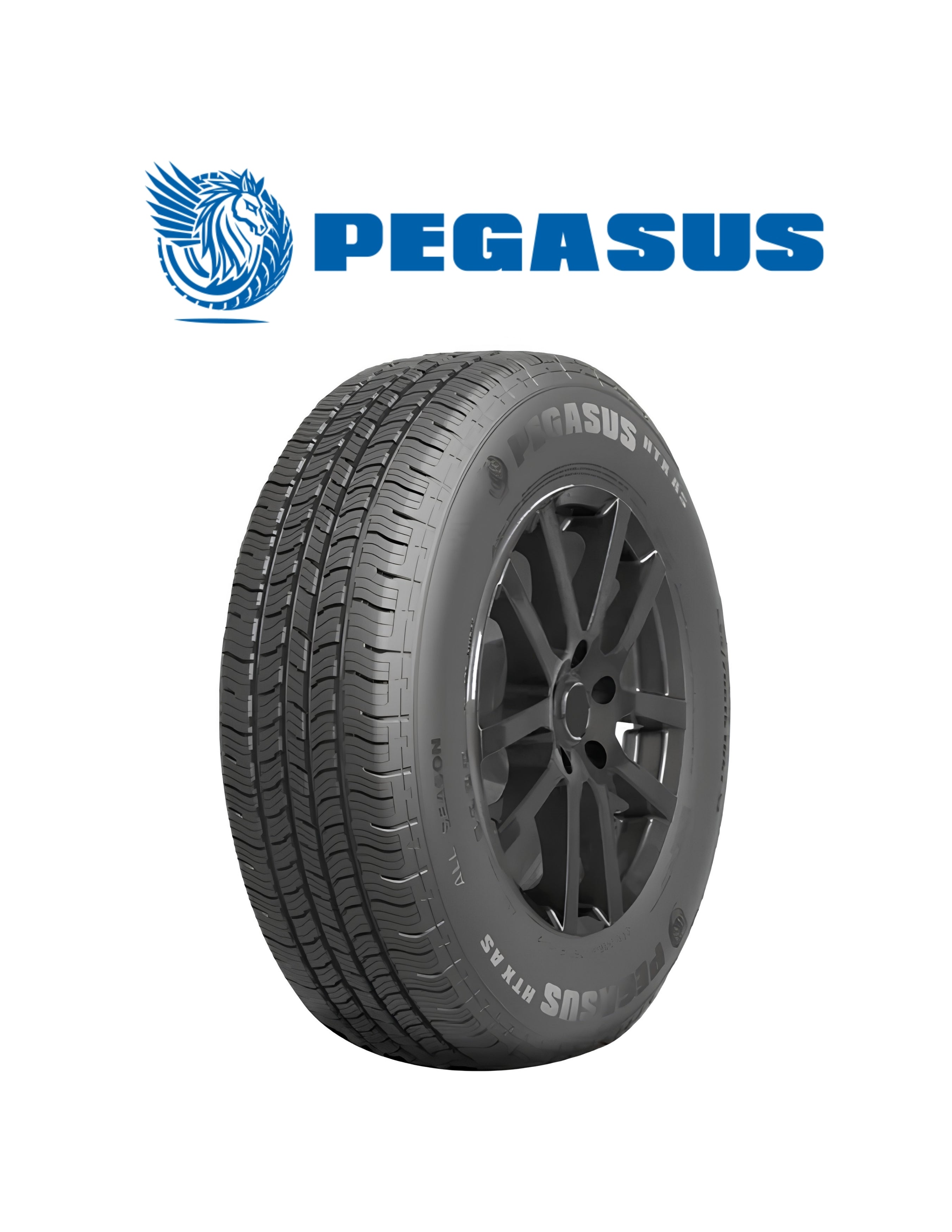 225-60-R18 PEGASUS HTX AS